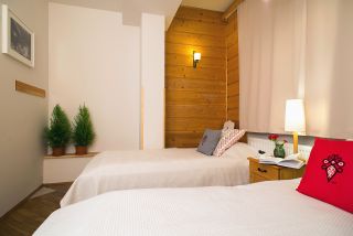 Apartamenty z 2 sypialniami i kominkiem - Apartamenty Willa Motylek - Zakopane Apartamenty i Noclegi ApartArt