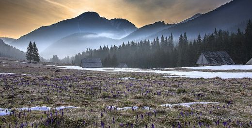 Wiosna w Zakopanem: 7 Pomysłów na Niezapomniany Wyjazd