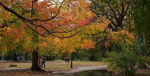 Kraków jesienią: 7 miejsc, które musisz odwiedzić podczas jesiennego pobytu w Belle Epoque Residence.