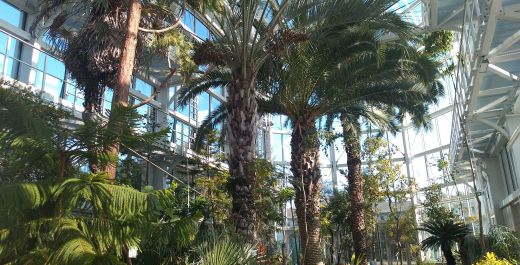 Ogród Botaniczny Uniwersytetu Jagiellońskiego